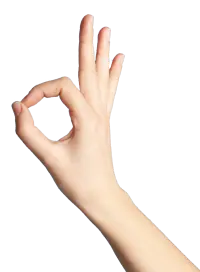 できるD